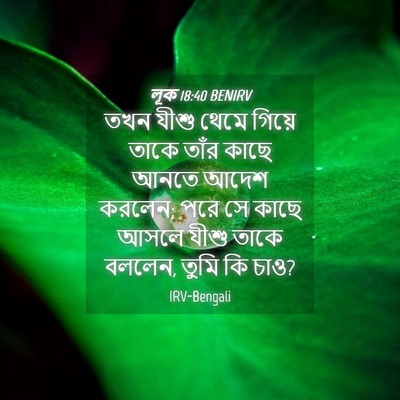 Picture 04 - লূক 18:40 BENIRV - তখন যীশু থেমে - Bible Verse Picture