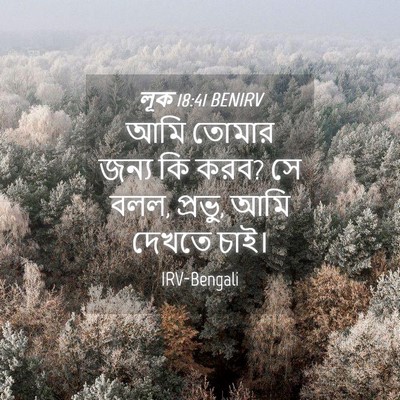 Picture 04 - লূক 18:41 BENIRV - আমি তোমার জন্য কি - Bible Verse Picture