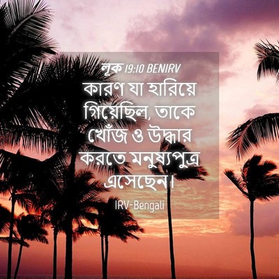 Picture 04 - লূক 19:10 BENIRV - কারণ যা হারিয়ে - Bible Verse Picture