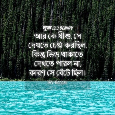 Picture 04 - লূক 19:3 BENIRV - আর কে যীশু, সে - Bible Verse Picture