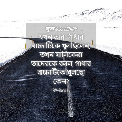 Picture 04 - লূক 19:33 BENIRV - যখন তারা গাধার - Bible Verse Picture