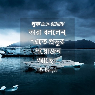 Picture 04 - লূক 19:34 BENIRV - তারা বললেন, “এতে - Bible Verse Picture