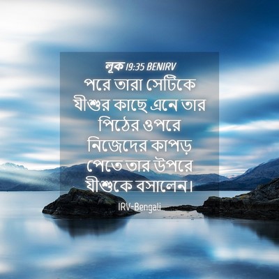 Picture 04 - লূক 19:35 BENIRV - পরে তারা সেটিকে - Bible Verse Picture