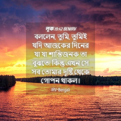 Picture 04 - লূক 19:42 BENIRV - বললেন, তুমি, তুমিই - Bible Verse Picture