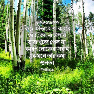 Picture 04 - লূক 19:48 BENIRV - কিন্তু কীভাবে তা - Bible Verse Picture