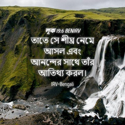 Picture 04 - লূক 19:6 BENIRV - তাতে সে শীঘ্র নেমে - Bible Verse Picture