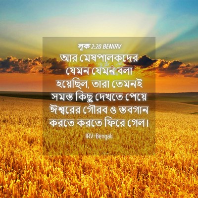 Picture 04 - লূক 2:20 BENIRV - আর মেষপালকদের - Bible Verse Picture
