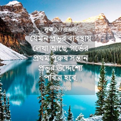Picture 04 - লূক 2:23 BENIRV - যেমন প্রভুর - Bible Verse Picture