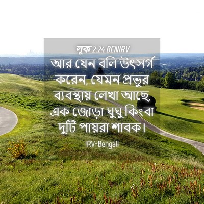 Picture 04 - লূক 2:24 BENIRV - আর যেন বলি উৎসর্গ - Bible Verse Picture