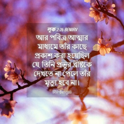 Picture 04 - লূক 2:26 BENIRV - আর পবিত্র আত্মার - Bible Verse Picture