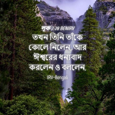Picture 04 - লূক 2:28 BENIRV - তখন তিনি তাঁকে - Bible Verse Picture