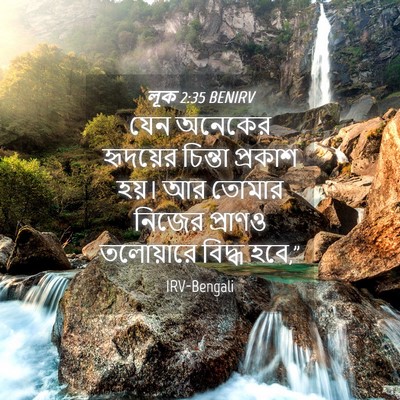 Picture 04 - লূক 2:35 BENIRV - যেন অনেকের - Bible Verse Picture