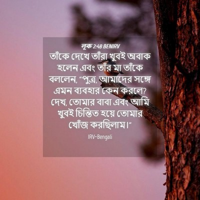 Picture 04 - লূক 2:48 BENIRV - তাঁকে দেখে তাঁরা - Bible Verse Picture