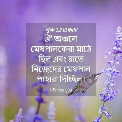 Picture 04 - লূক 2:8 BENIRV - ঐ অঞ্চলে - Bible Verse Picture