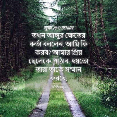 Picture 04 - লূক 20:13 BENIRV - তখন আঙ্গুর - Bible Verse Picture