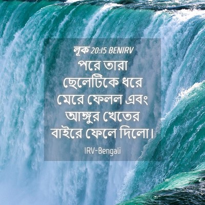 Picture 04 - লূক 20:15 BENIRV - পরে তারা ছেলেটিকে - Bible Verse Picture