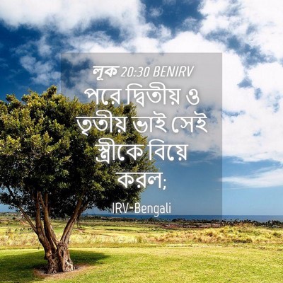 Picture 04 - লূক 20:30 BENIRV - পরে দ্বিতীয় ও - Bible Verse Picture
