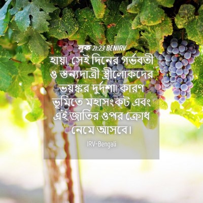 Picture 04 - লূক 21:23 BENIRV - হায়!, সেই দিনের - Bible Verse Picture