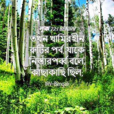 Picture 04 - লূক 22:1 BENIRV - তখন খামিরহীন - Bible Verse Picture
