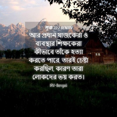 Picture 04 - লূক 22:2 BENIRV - আর প্রধান যাজকেরা - Bible Verse Picture