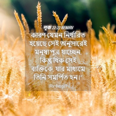 Picture 04 - লূক 22:22 BENIRV - কারণ যেমন - Bible Verse Picture