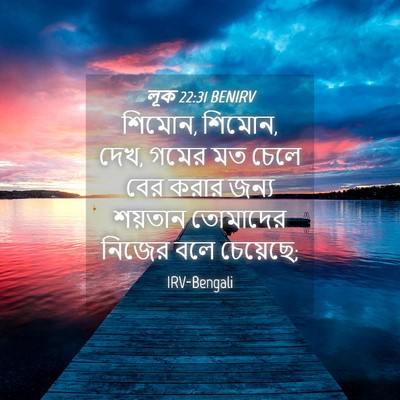 Picture 04 - লূক 22:31 BENIRV - শিমোন, শিমোন, দেখ, - Bible Verse Picture