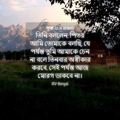 Picture 04 - লূক 22:34 BENIRV - তিনি বললেন, পিতর - Bible Verse Picture
