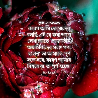 Picture 04 - লূক 22:37 BENIRV - কারণ আমি তোমাদের - Bible Verse Picture