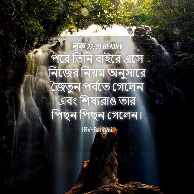 Picture 04 - লূক 22:39 BENIRV - পরে তিনি বাইরে এসে - Bible Verse Picture