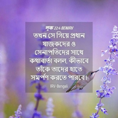 Picture 04 - লূক 22:4 BENIRV - তখন সে গিয়ে - Bible Verse Picture