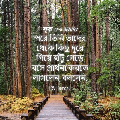 Picture 04 - লূক 22:41 BENIRV - পরে তিনি তাদের - Bible Verse Picture