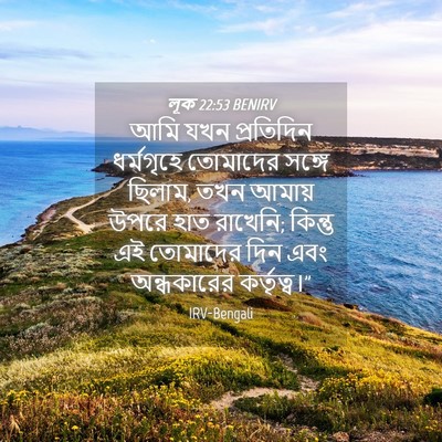 Picture 04 - লূক 22:53 BENIRV - আমি যখন প্রতিদিন - Bible Verse Picture