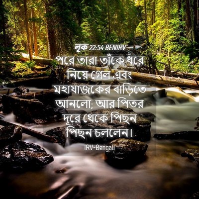 Picture 04 - লূক 22:54 BENIRV - পরে তারা তাঁকে ধরে - Bible Verse Picture