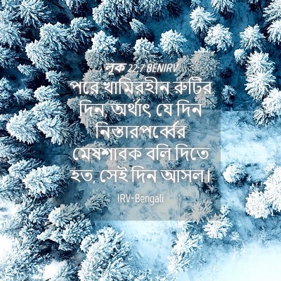 Picture 04 - লূক 22:7 BENIRV - পরে খামিরহীন - Bible Verse Picture