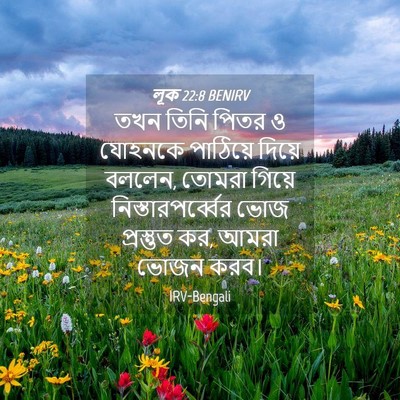 Picture 04 - লূক 22:8 BENIRV - তখন তিনি পিতর ও - Bible Verse Picture