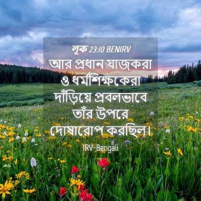 Picture 04 - লূক 23:10 BENIRV - আর প্রধান যাজকরা ও - Bible Verse Picture