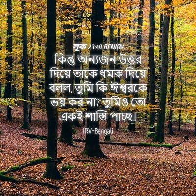 Picture 04 - লূক 23:40 BENIRV - কিন্তু অন্যজন - Bible Verse Picture