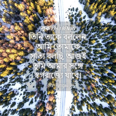 Picture 04 - লূক 23:43 BENIRV - তিনি তাকে বললেন, - Bible Verse Picture