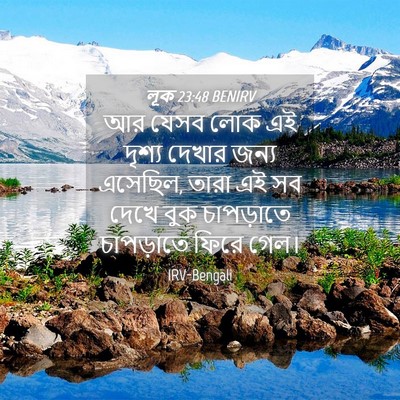 Picture 04 - লূক 23:48 BENIRV - আর যেসব লোক এই - Bible Verse Picture