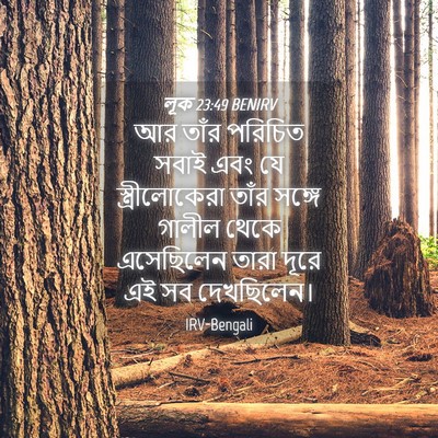 Picture 04 - লূক 23:49 BENIRV - আর তাঁর পরিচিত - Bible Verse Picture