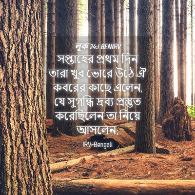 Picture 04 - লূক 24:1 BENIRV - সপ্তাহের প্রথম - Bible Verse Picture