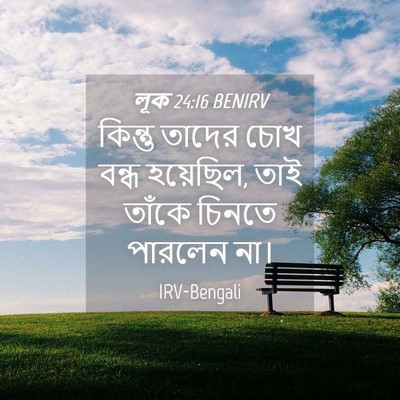 Picture 04 - লূক 24:16 BENIRV - কিন্তু তাদের চোখ - Bible Verse Picture