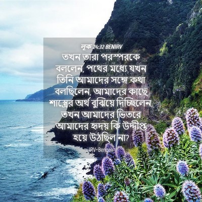 Picture 04 - লূক 24:32 BENIRV - তখন তারা পরস্পরকে - Bible Verse Picture