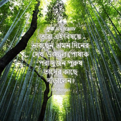 Picture 04 - লূক 24:4 BENIRV - তারা এই বিষয়ে - Bible Verse Picture