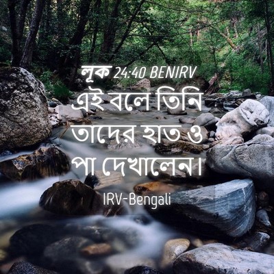 Picture 04 - লূক 24:40 BENIRV - এই বলে তিনি তাদের - Bible Verse Picture