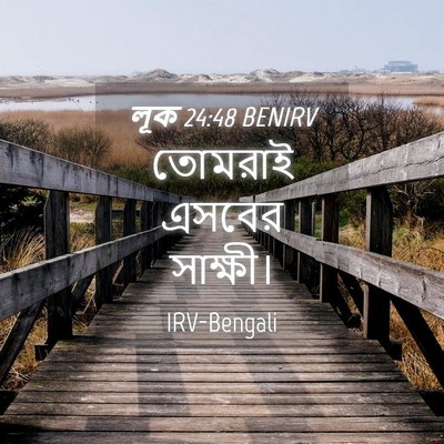 Picture 04 - লূক 24:48 BENIRV - তোমরাই এসবের - Bible Verse Picture
