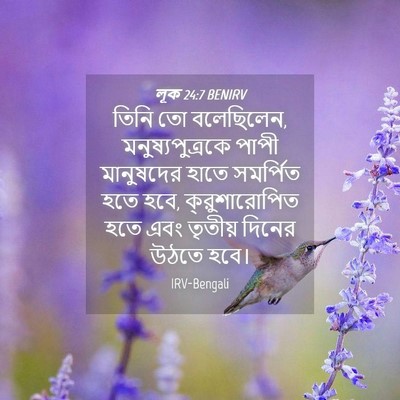 Picture 04 - লূক 24:7 BENIRV - তিনি তো বলেছিলেন, - Bible Verse Picture