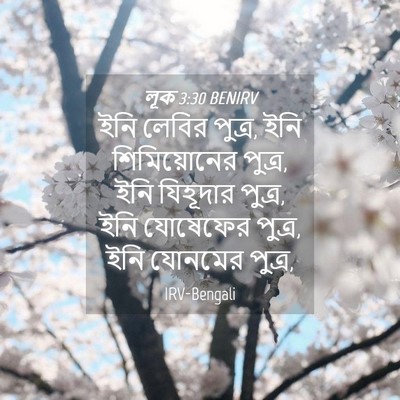 Picture 04 - লূক 3:30 BENIRV - ইনি লেবির পুত্র, - Bible Verse Picture