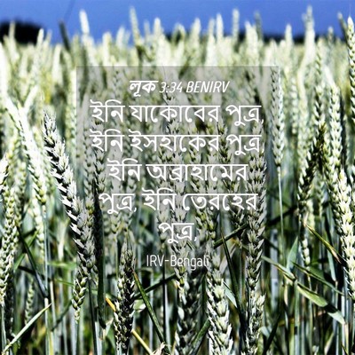 Picture 04 - লূক 3:34 BENIRV - ইনি যাকোবের পুত্র, - Bible Verse Picture