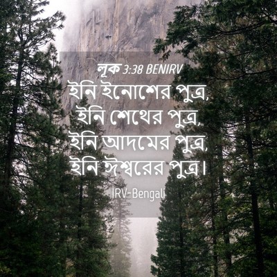 Picture 04 - লূক 3:38 BENIRV - ইনি ইনোশের পুত্র, - Bible Verse Picture